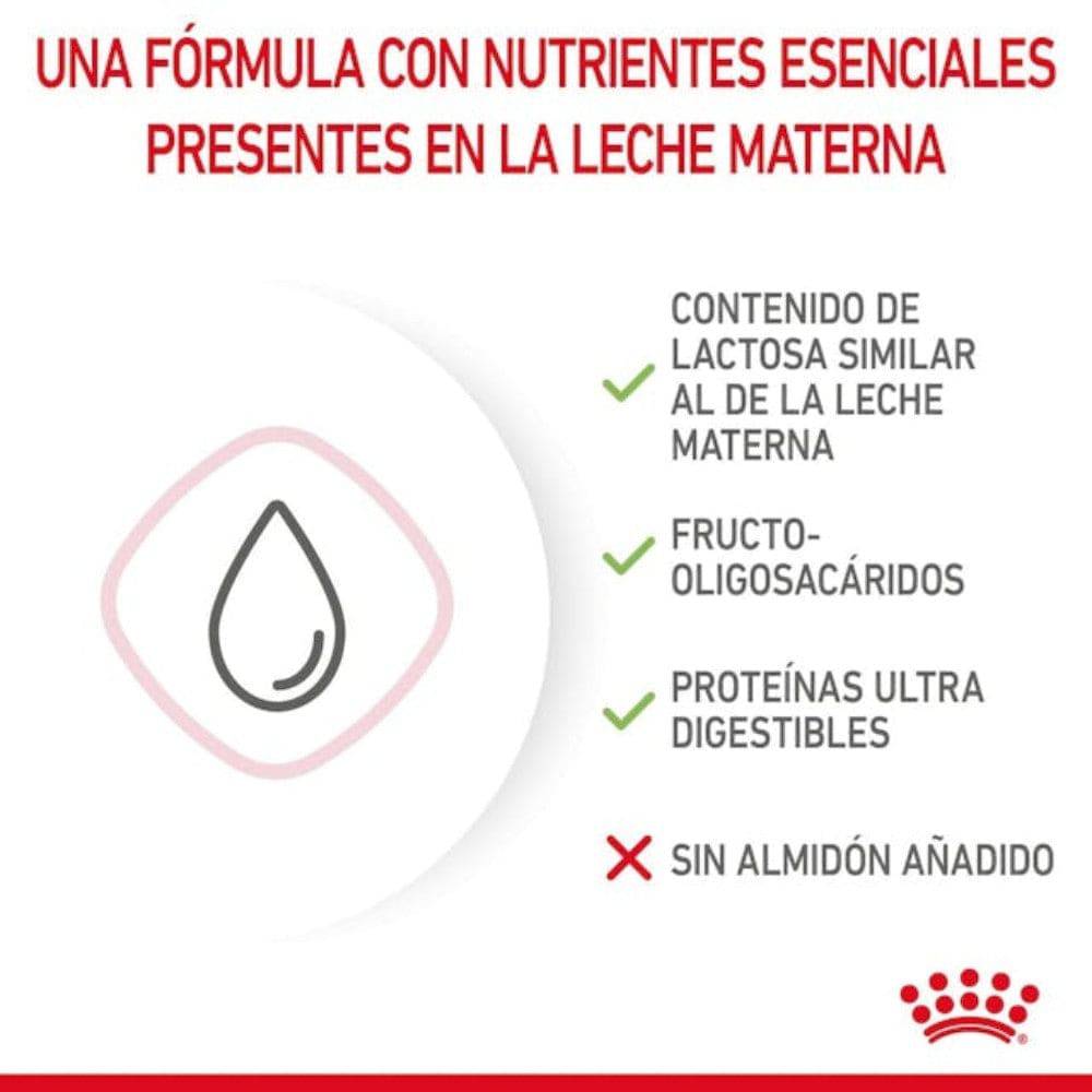 Royal Canin Baby Cat Milk 300 gr - AniMALL
