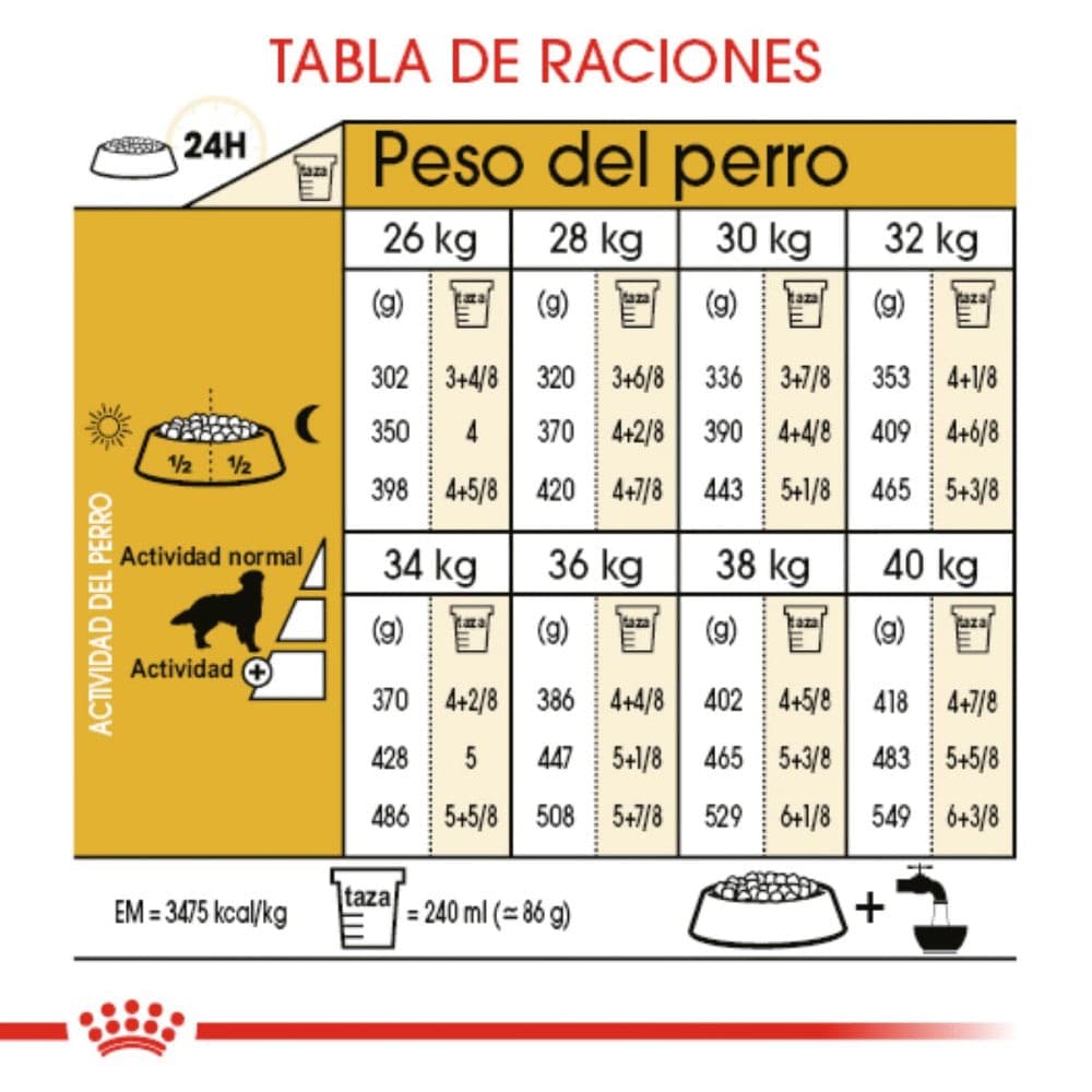 Royal Canin Golden Retriever Adulto 13.6 Kg - AniMALL
