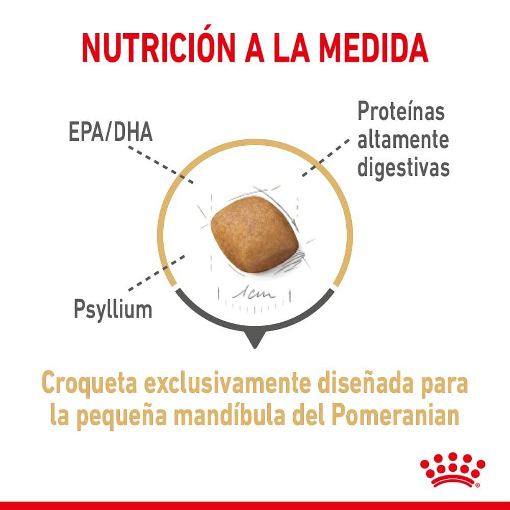 comida para perro pomeranian