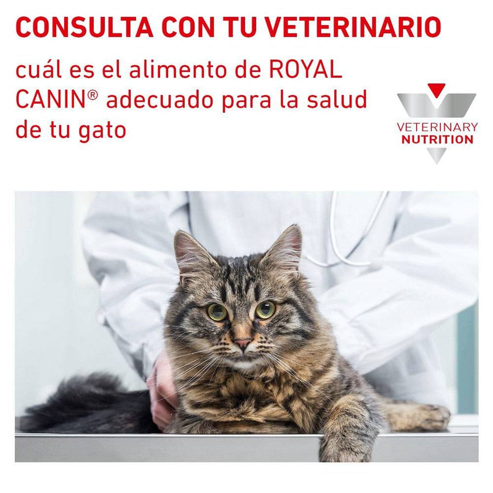 urinary royal canin gatos
