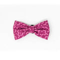 Collar con moño spaguetti Fucsia Talla M - AniMALL