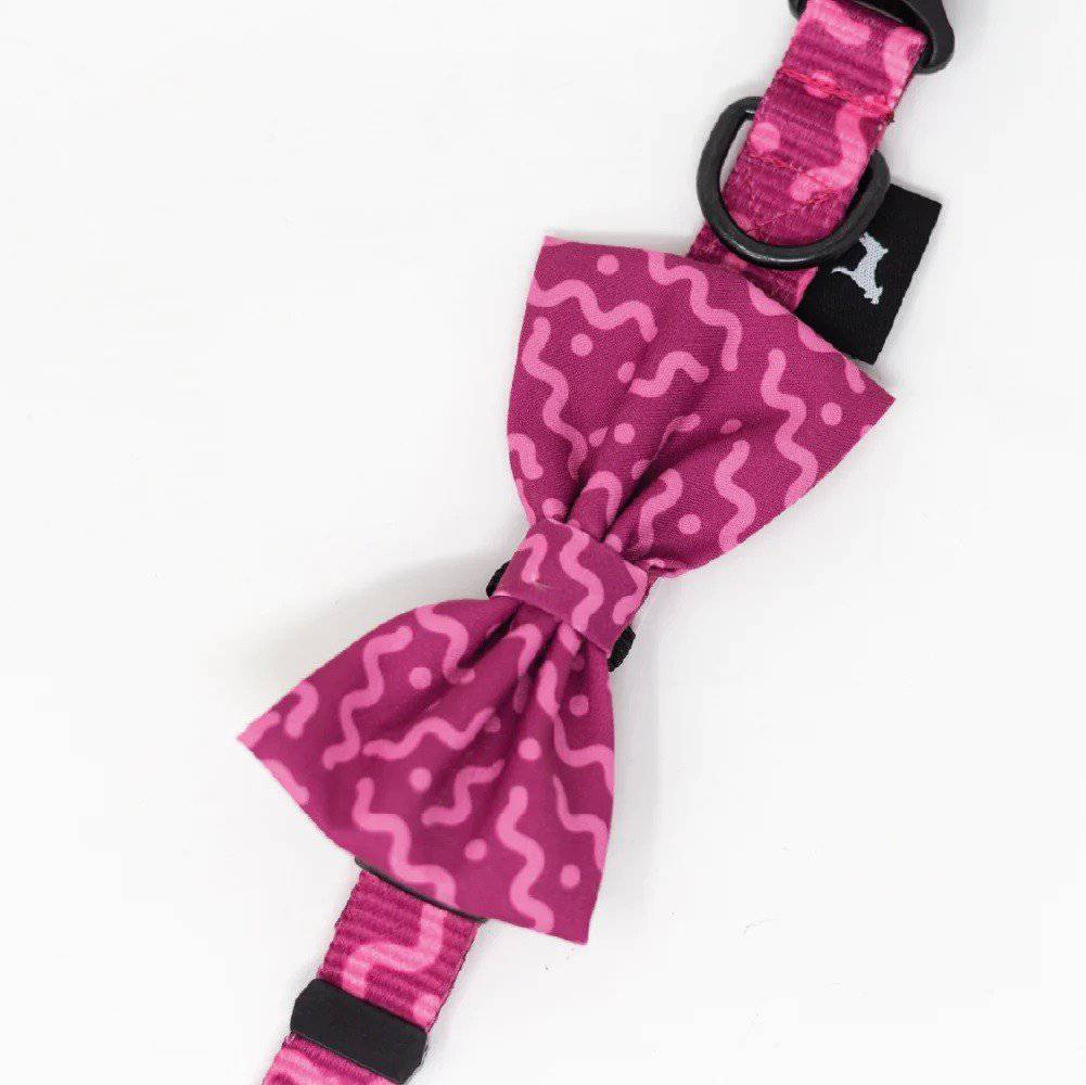 Collar con moño spaguetti Fucsia Talla M - AniMALL