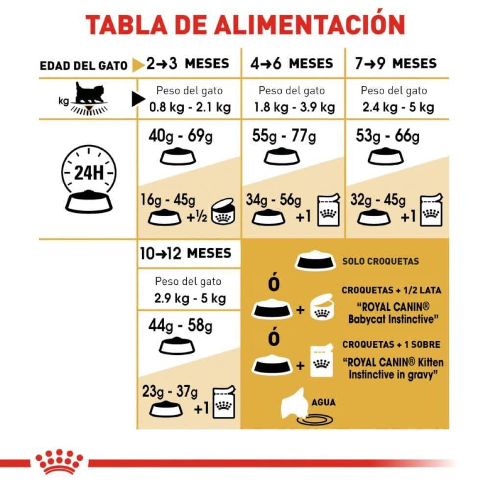 Royal Canin Persian Kitten 1.3 kg - AniMALL