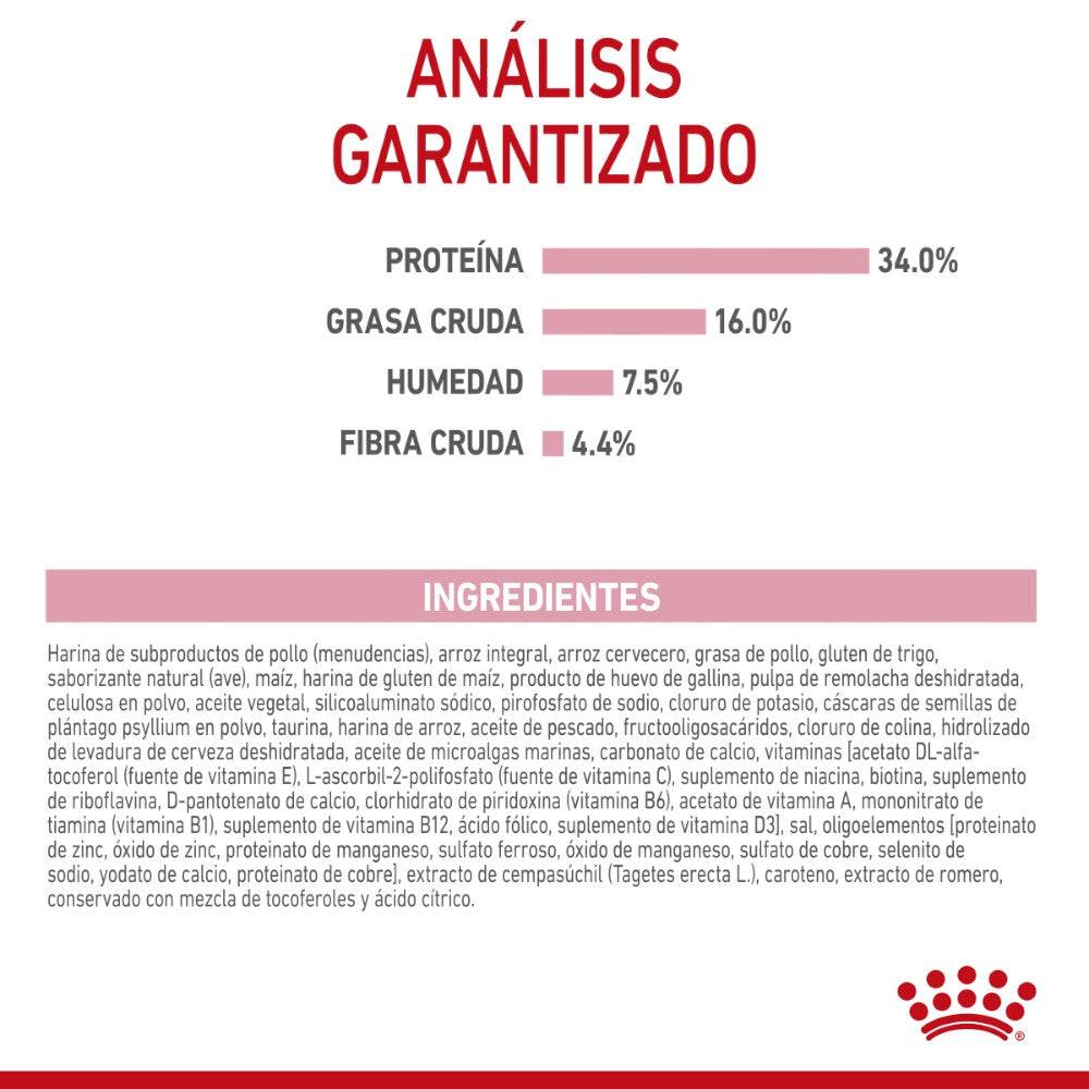 Royal Canin Gato Kitten 341 gr - AniMALL