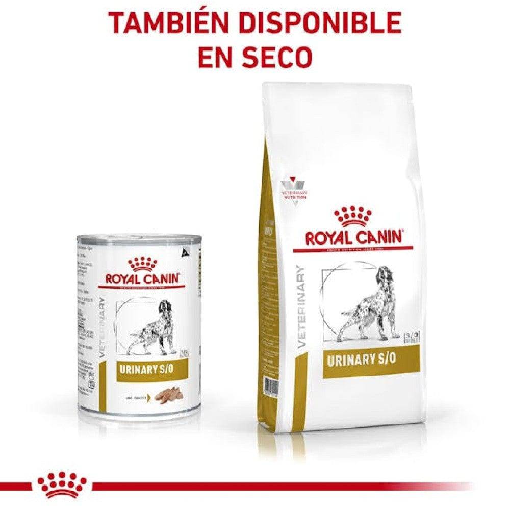 royal canin urinary