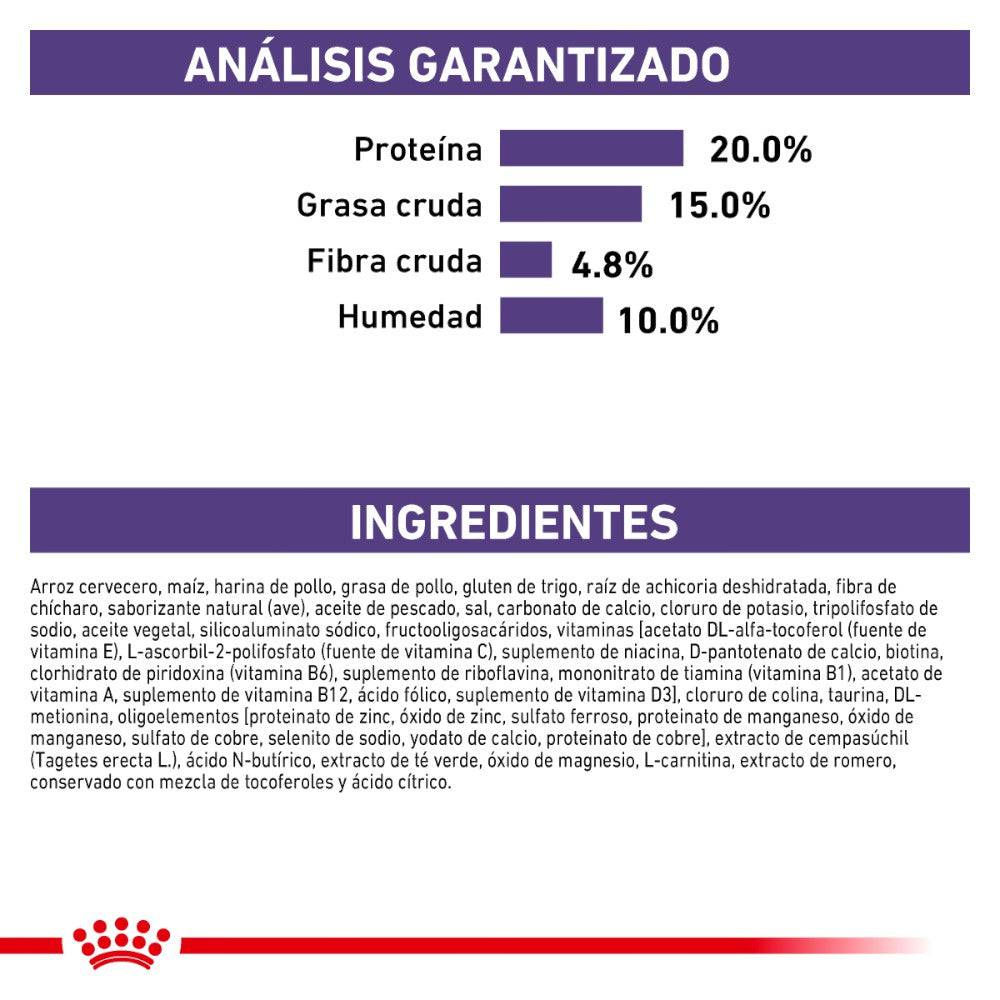 Royal Canin Vet Dental Dry Small Dog 4 kg - AniMALL