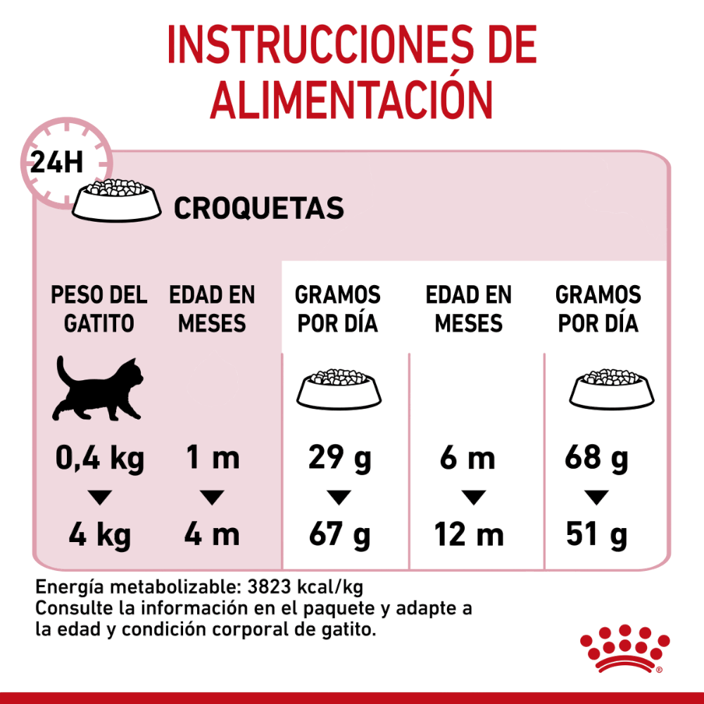 Royal Canin Gato Kitten 3.1 kg - AniMALL