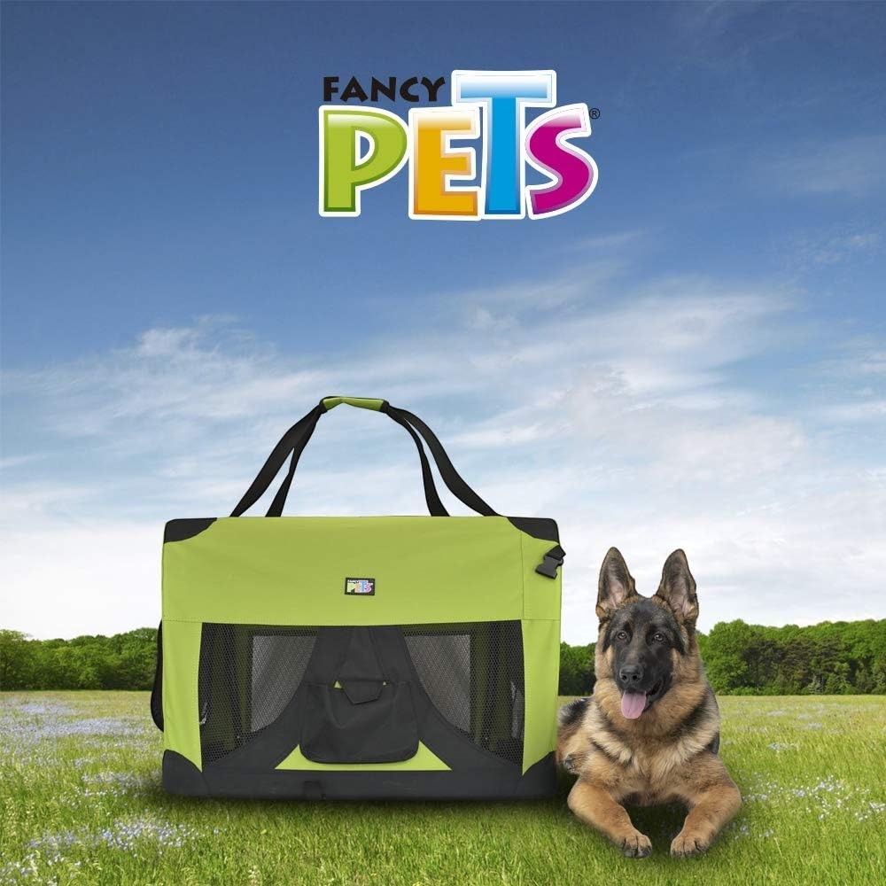 Transportadora Perrera Int Verde Jumbo - Fancy Pets