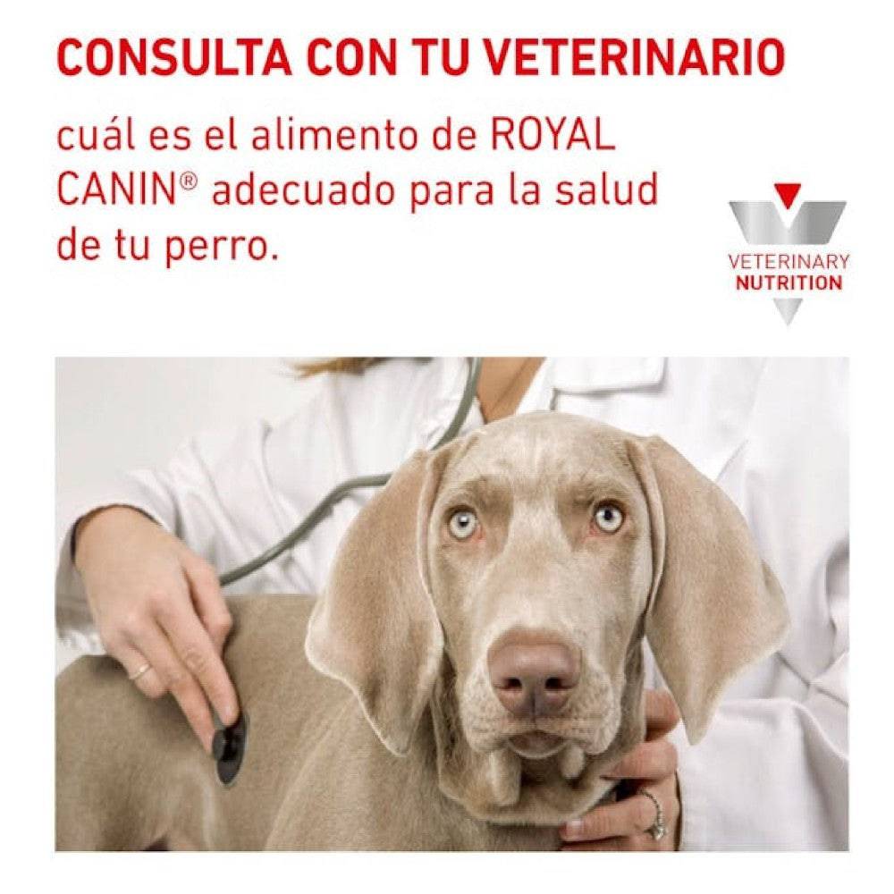 12 Latas Royal Canin Vet Gastrointestinal High Energy 385 gr - AniMALL