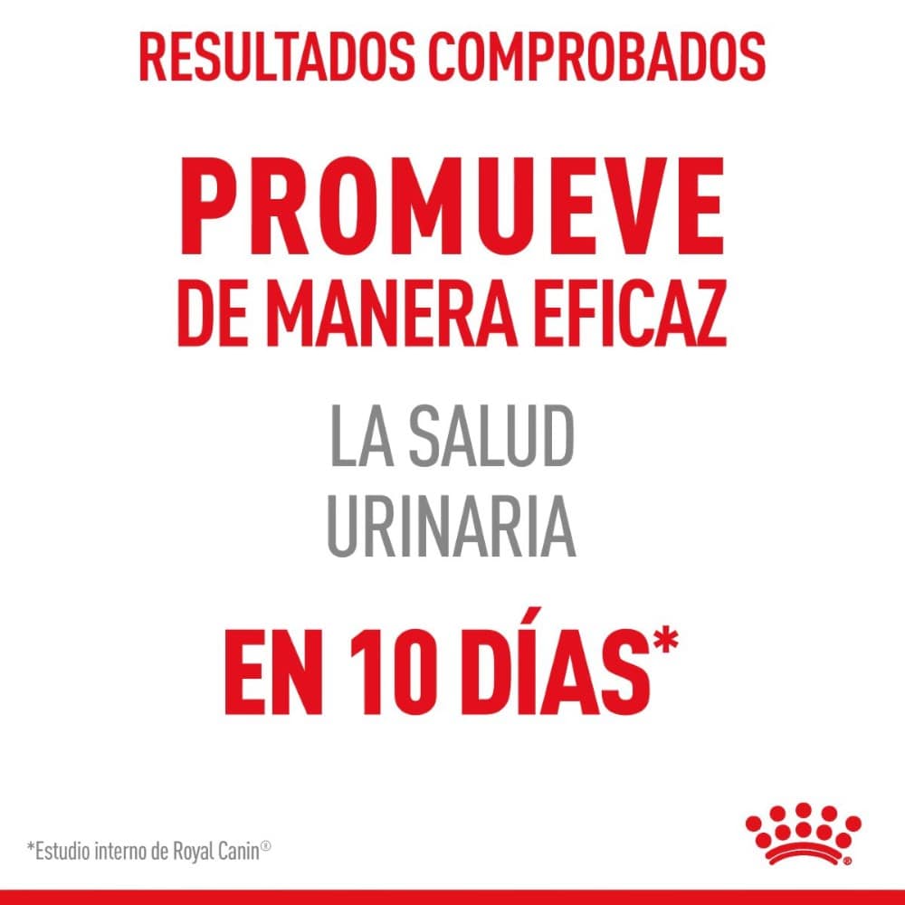 Royal Canin Feline Urinary Care 6.36 Kg - AniMALL