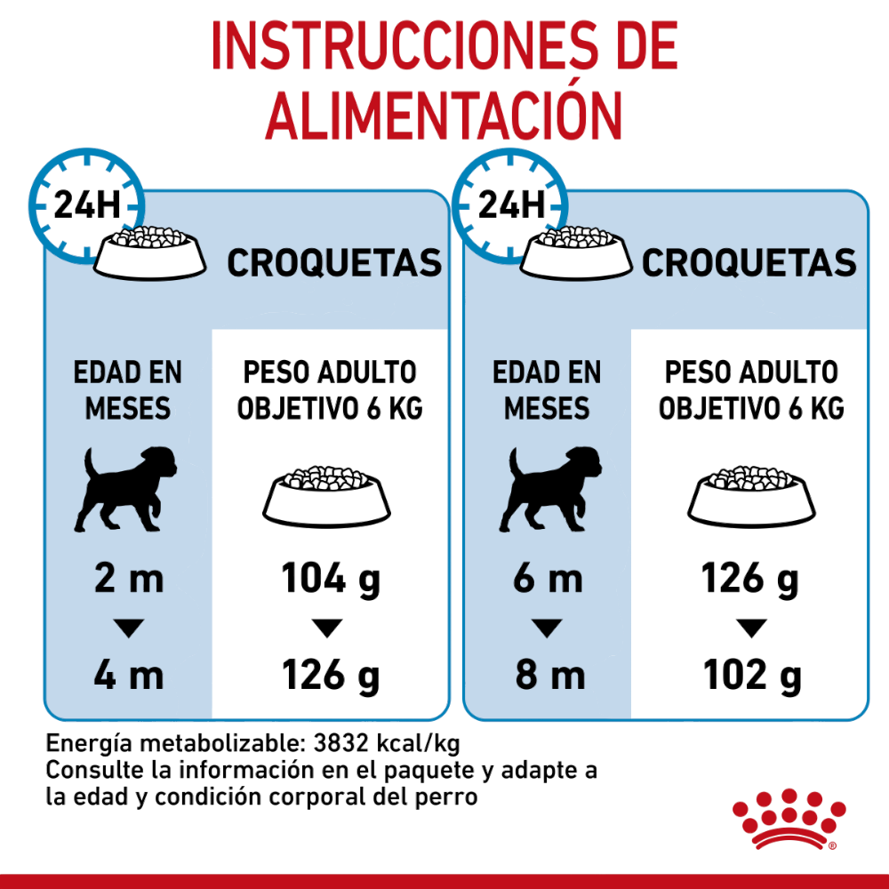 Royal Canin Alimento Seco Perro Puppy Small 341 gr - AniMALL
