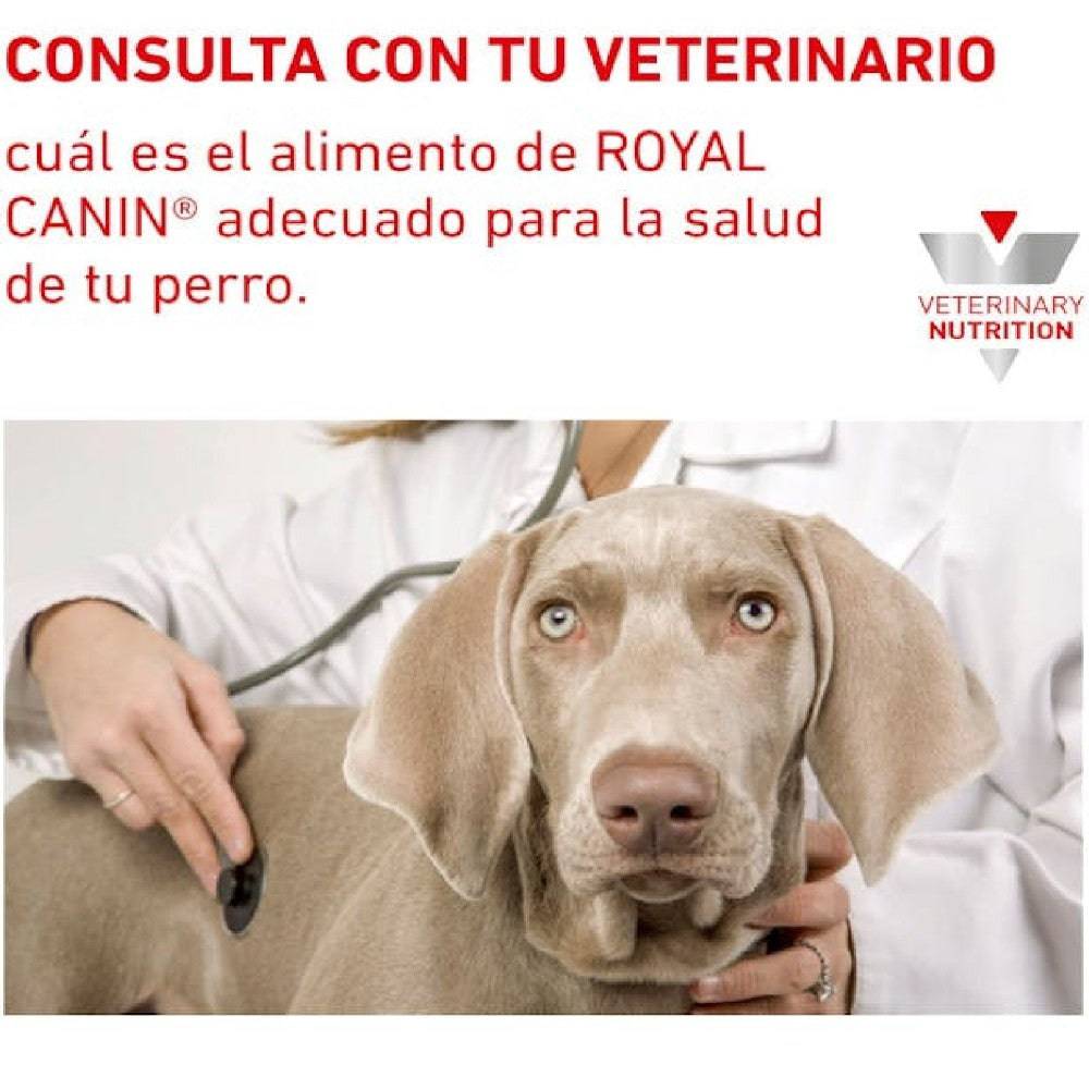 12 Latas Royal Canin Vet Gastrointestinal Low Fat Canine 385 gr - AniMALL