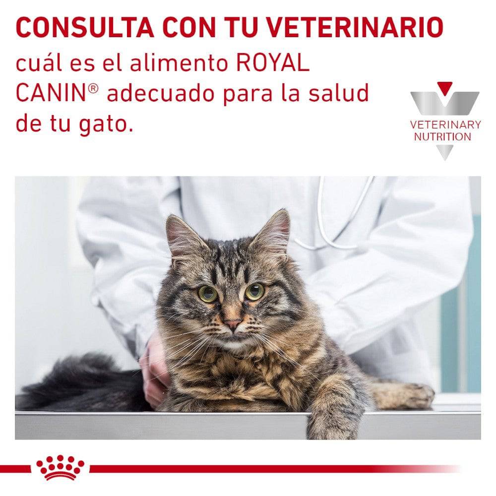 satiety support royal canin gatos