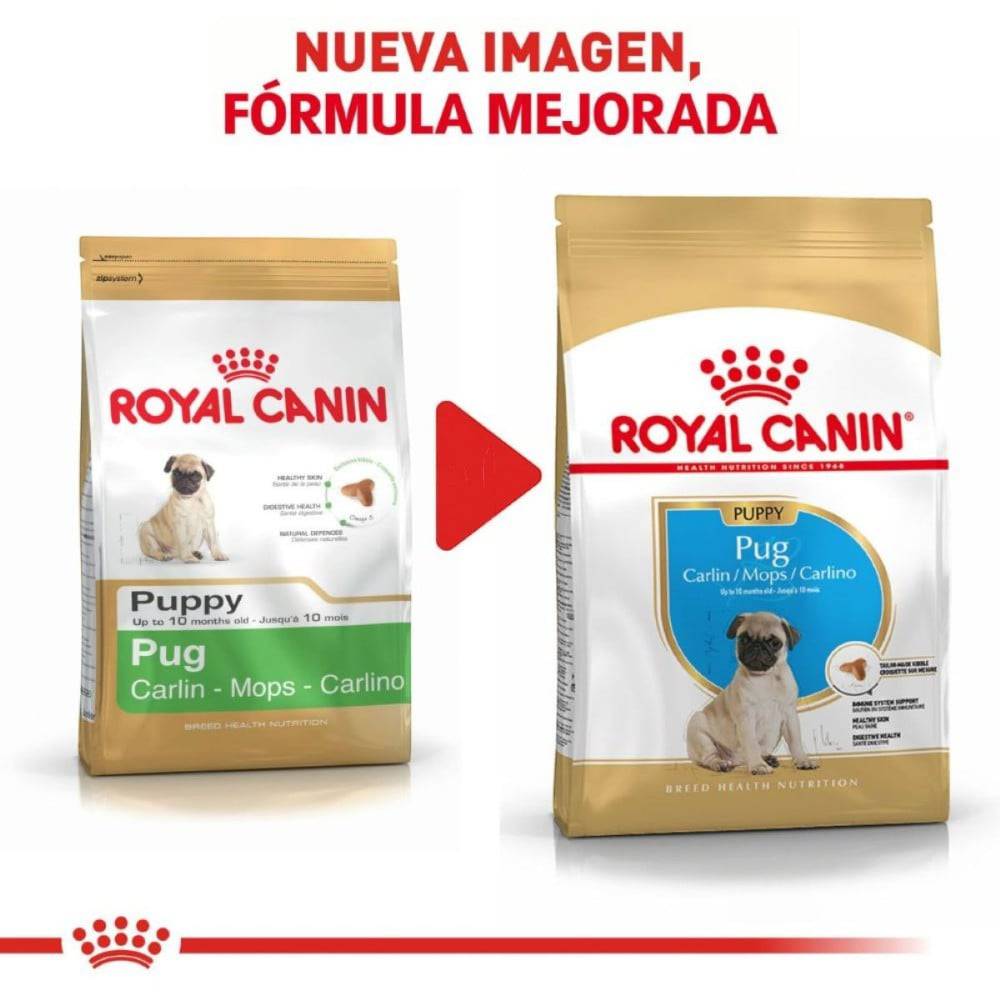 Royal Canin Pug Cachorro 1.1 kg - AniMALL