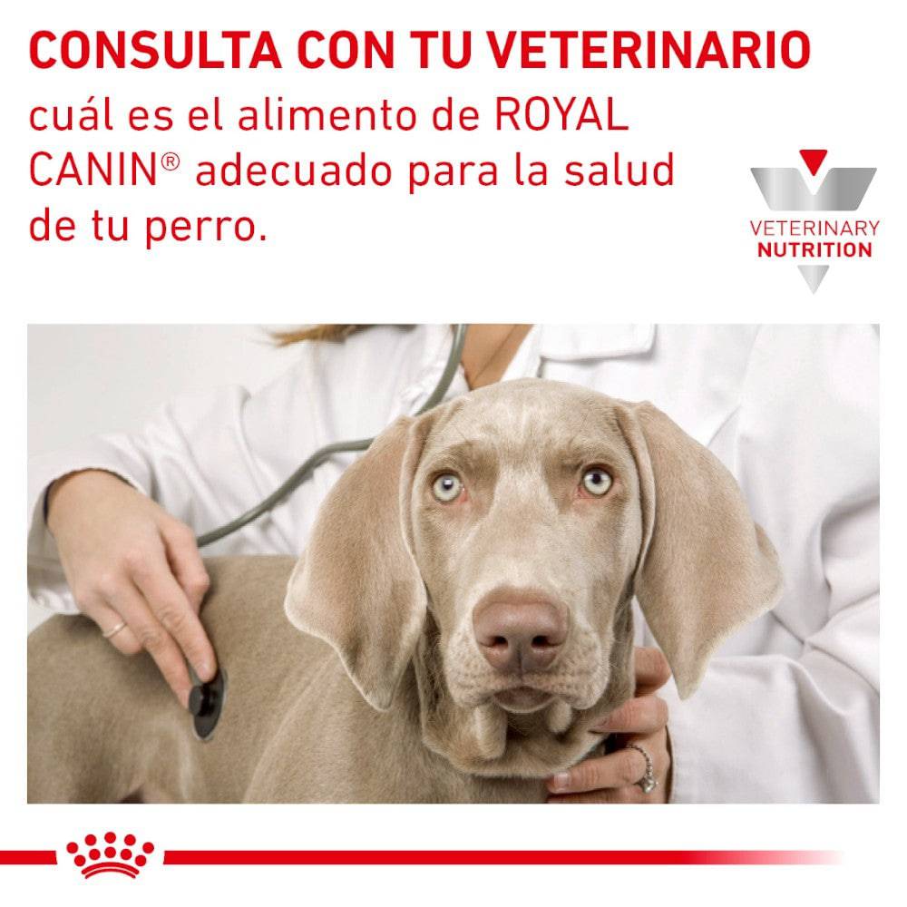 Royal Canin Vet Advanced Mobility Support 12 kg - AniMALL