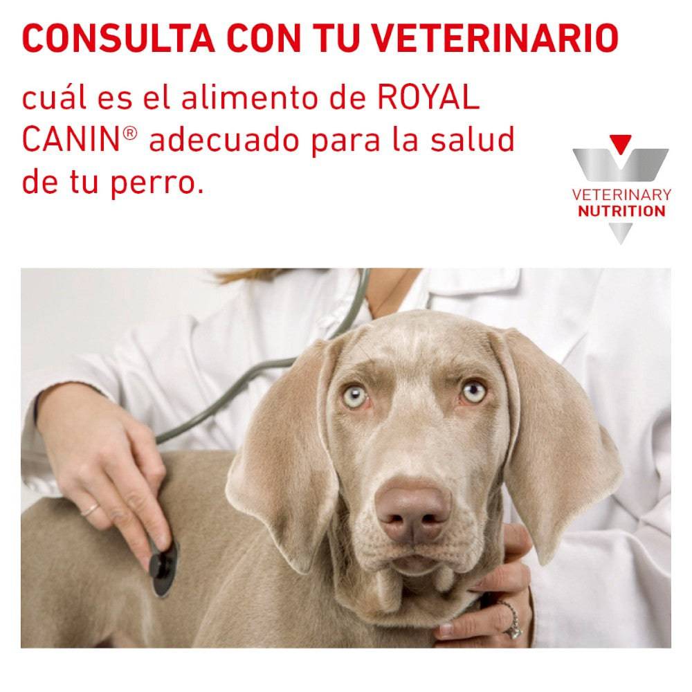 Royal Canin Vet Hepatic 12 Kg - AniMALL