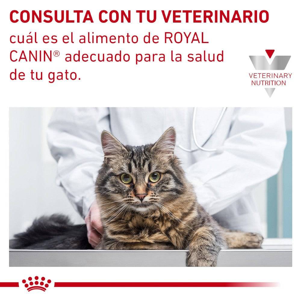 Glycobalance Royal Canin Gato