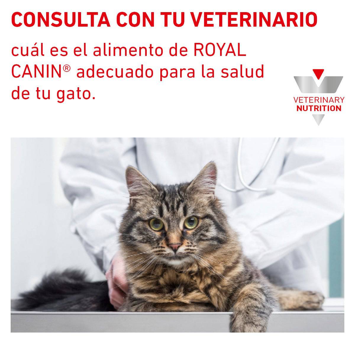 Royal Canin Vet Gastrointestinal Feline 4 Kg - AniMALL