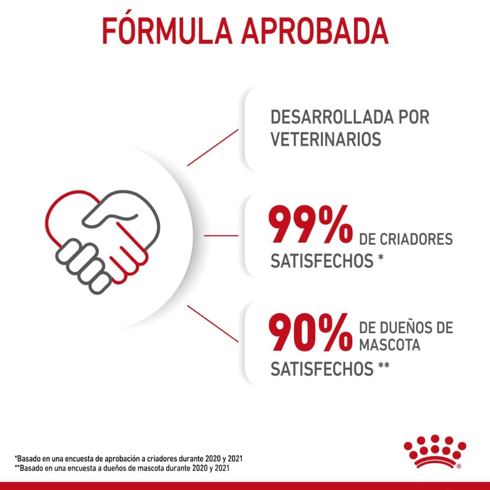 Royal Canin Gato Kitten 3.1 kg - AniMALL