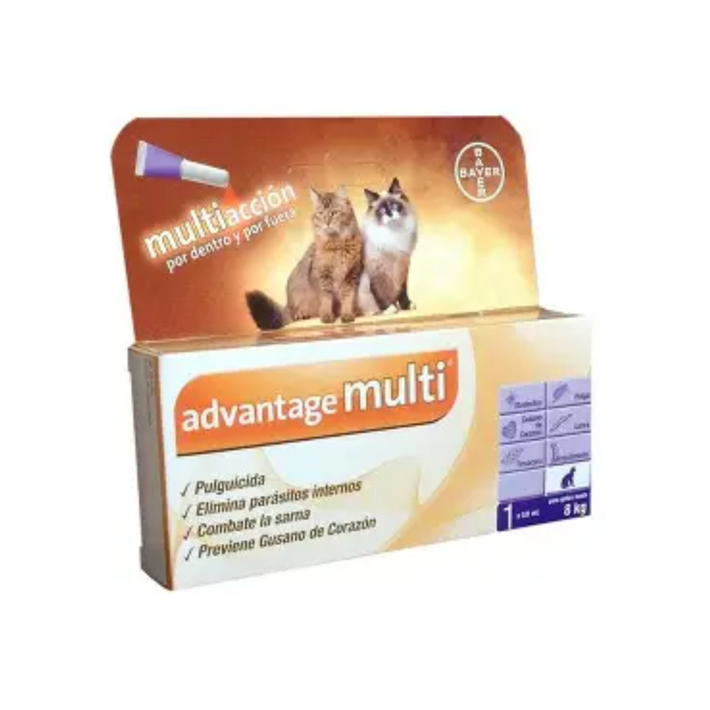 advantage multi gato