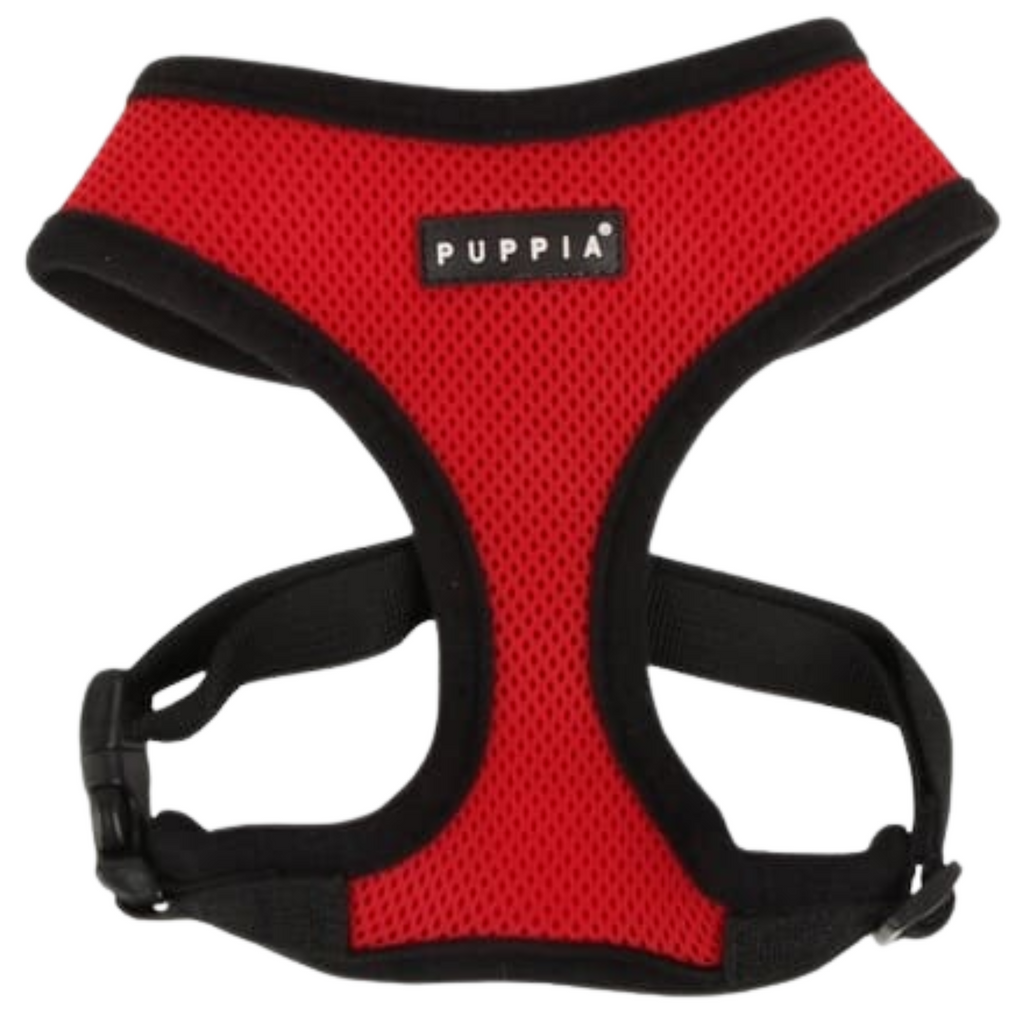 Arnes para perros pequeños