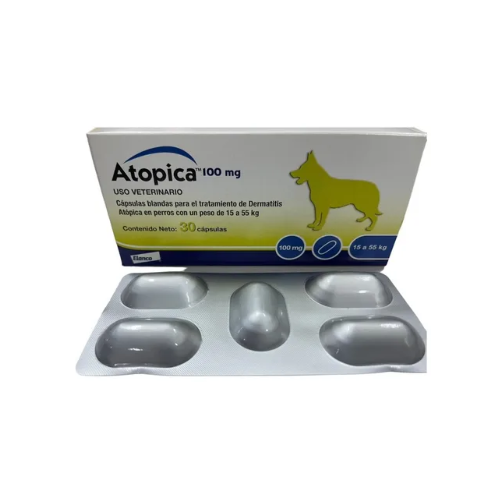 ciclosporina perros