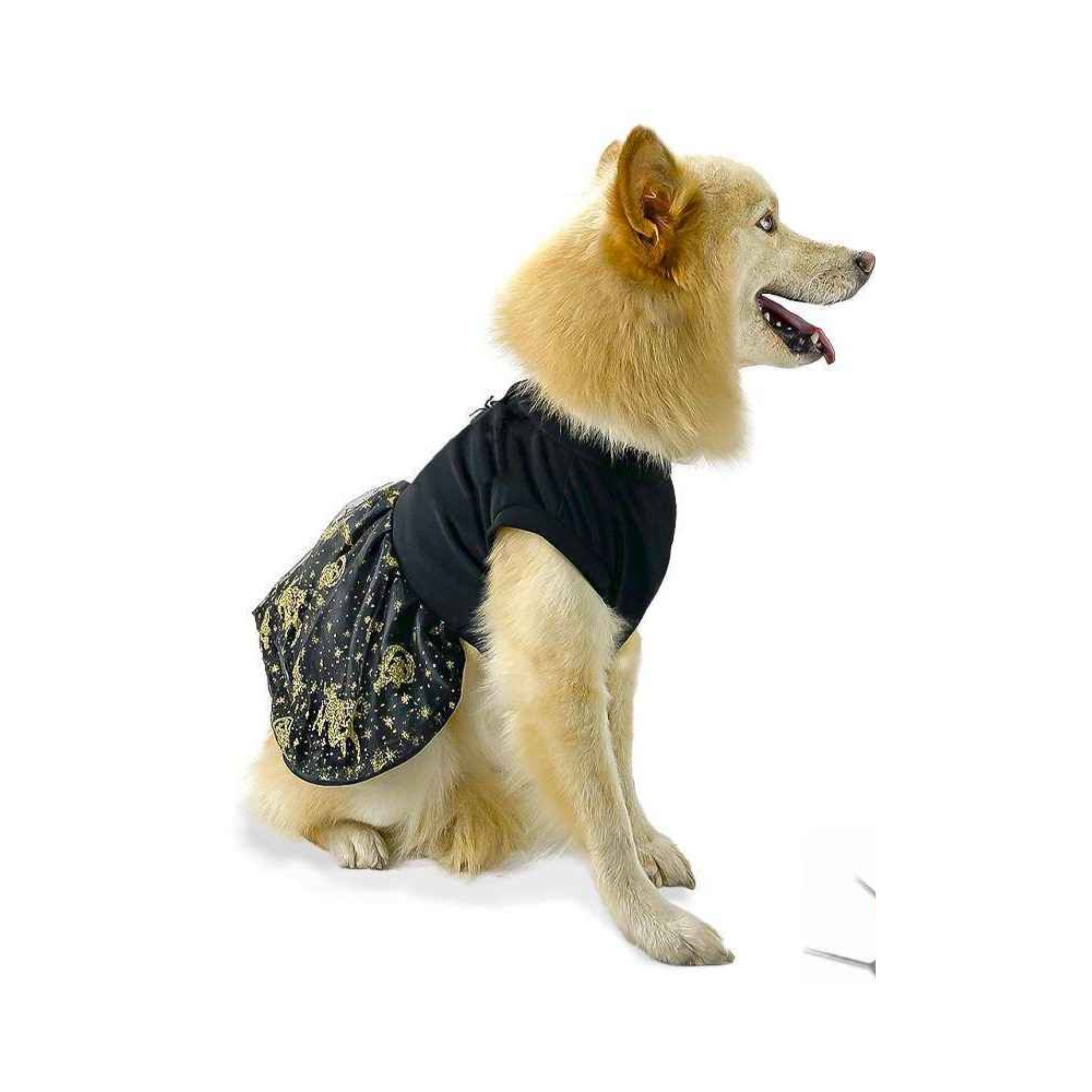 CATM Disfraz de Bruja Color Negro con Dorado para Mascota Talla 3