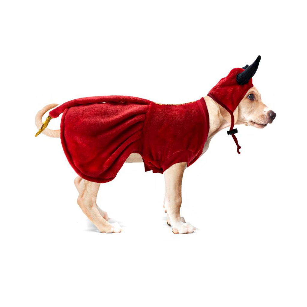 CATM Disfraz de Diablo Hembra para Mascota Talla 3