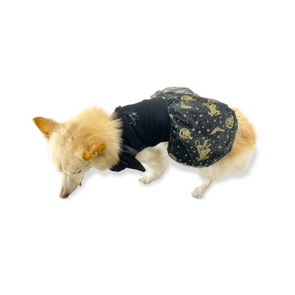 CATM Disfraz de Bruja Color Negro con Dorado para Mascota Talla 4