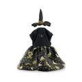 CATM Disfraz de Bruja Color Negro con Dorado para Mascota Talla 4