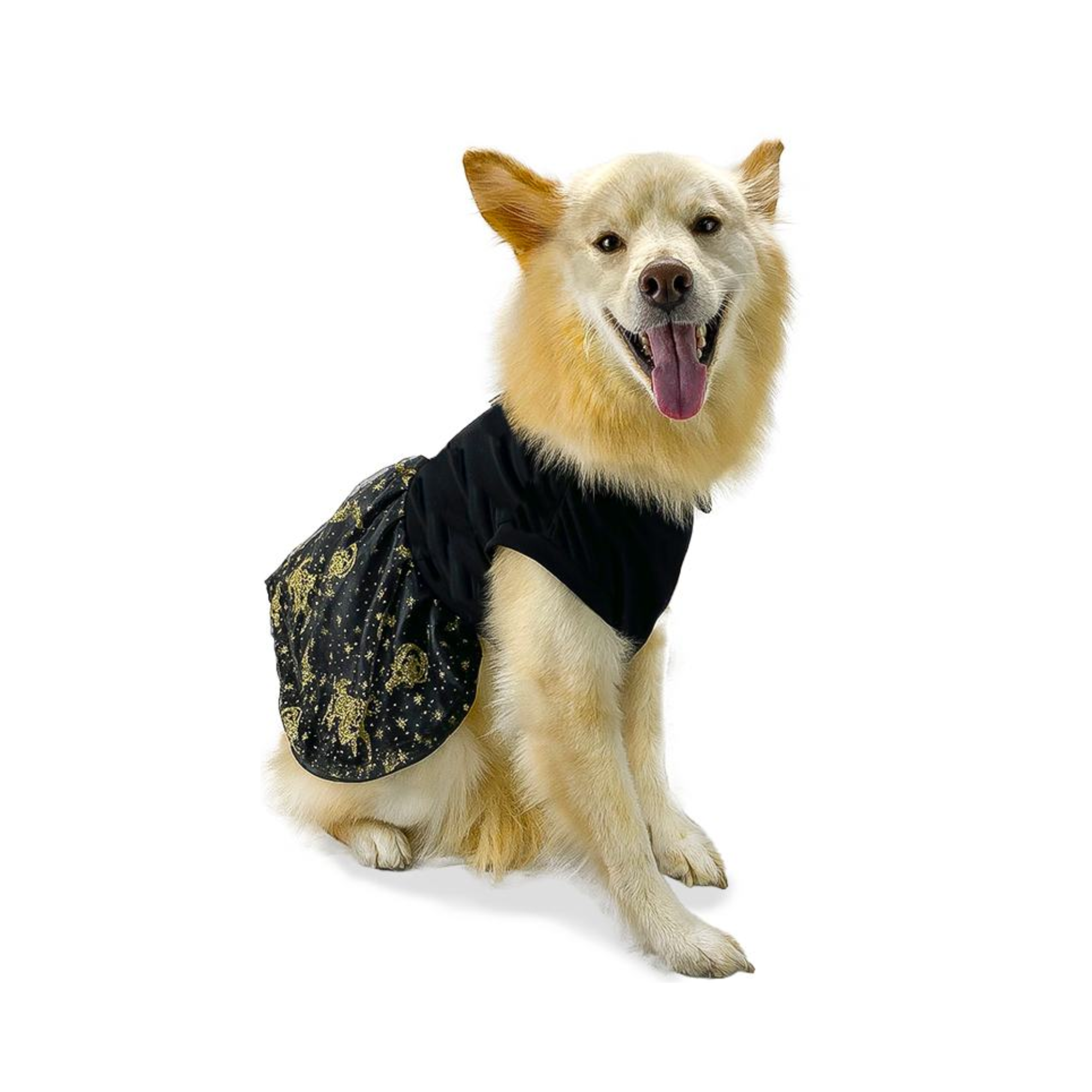 CATM Disfraz de Bruja Color Negro con Dorado para Mascota Talla 3