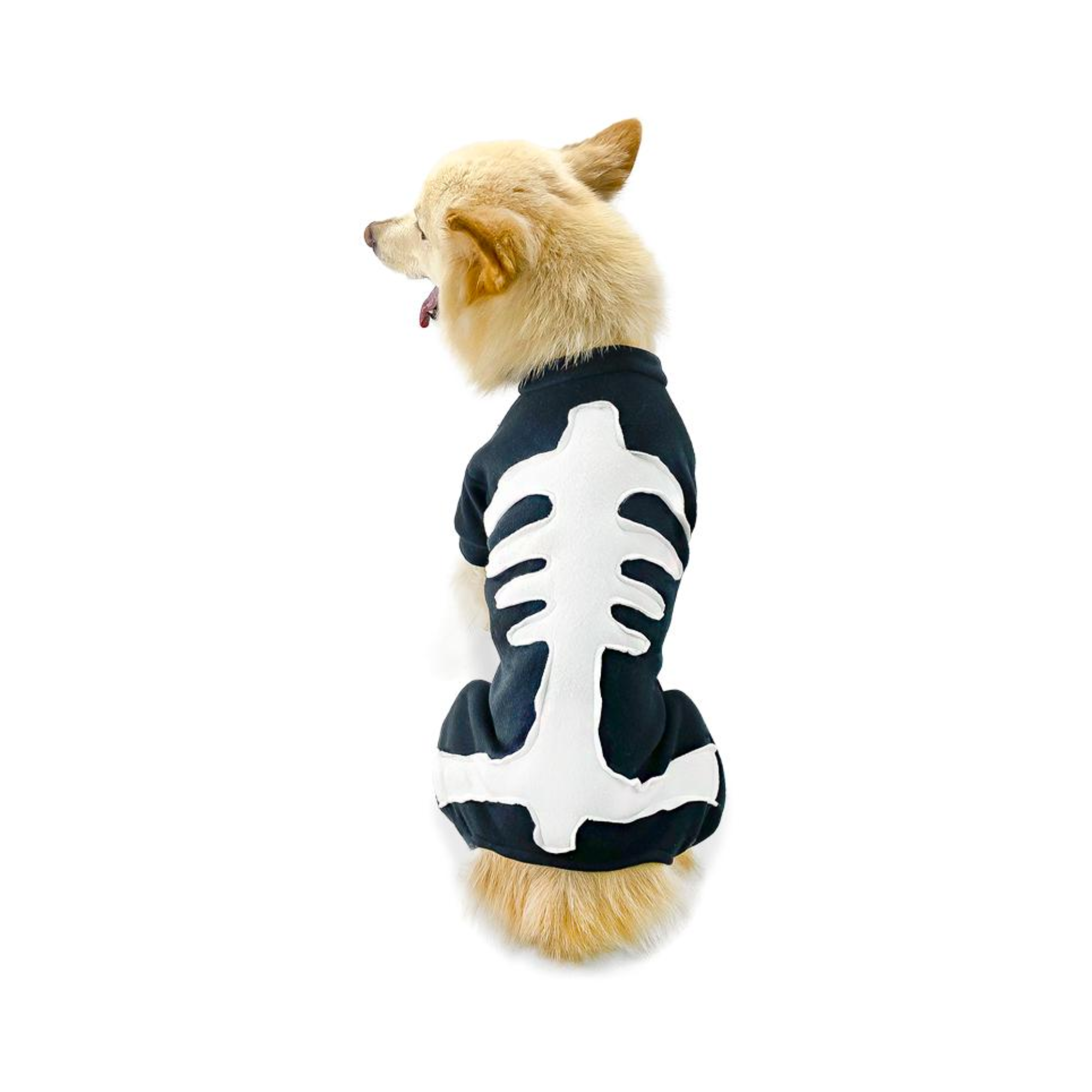 CATM Disfraz de Esqueleto para Mascotas Talla 6
