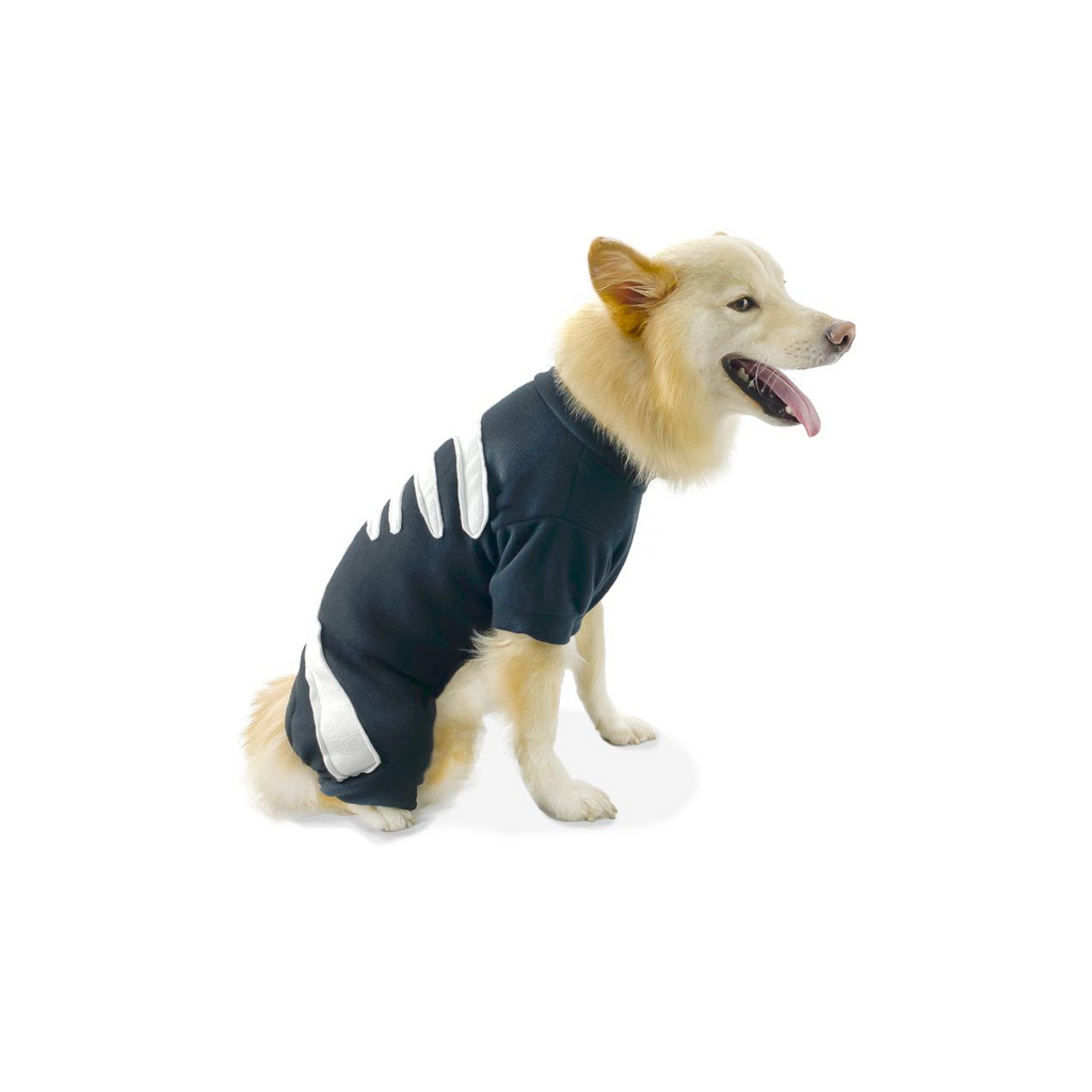 CATM Disfraz de Esqueleto para Mascotas Talla 4