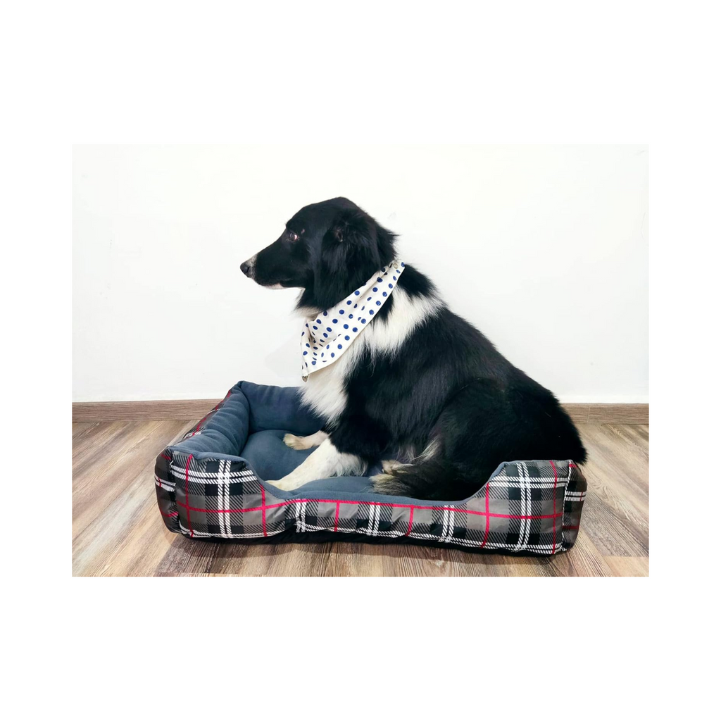 Cama de perro