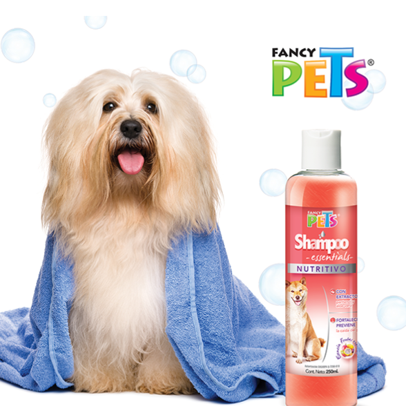 Shampoo Essentials