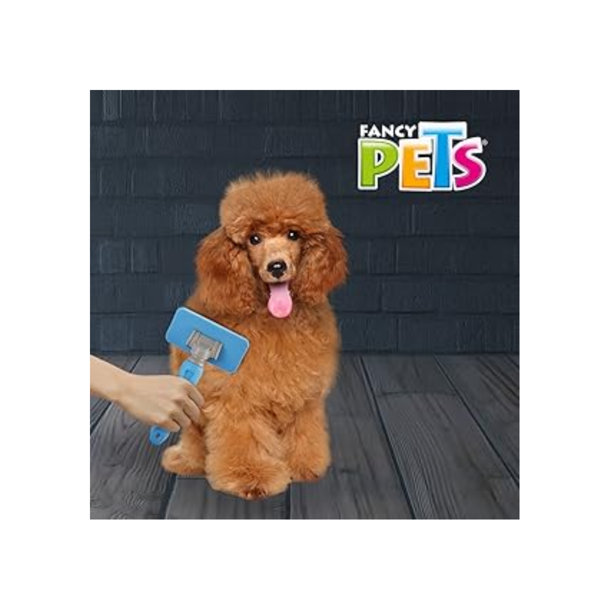 Carda Mediana Fancy Pets con cerdas para grooming en casa