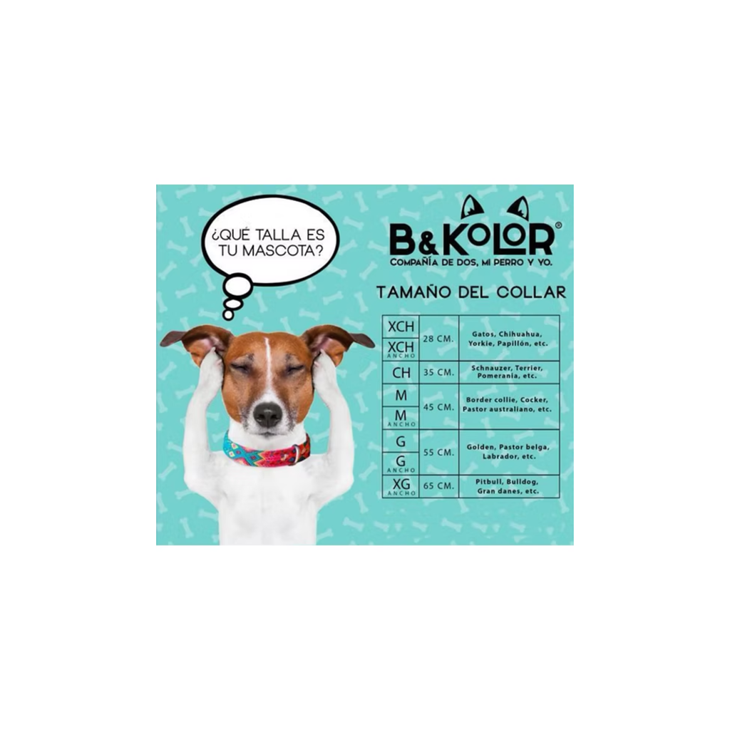 Collar Artesanal para Perro Grande Azul | B&Kolor – Ancho y Resistente