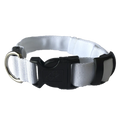 Collar de led para perro