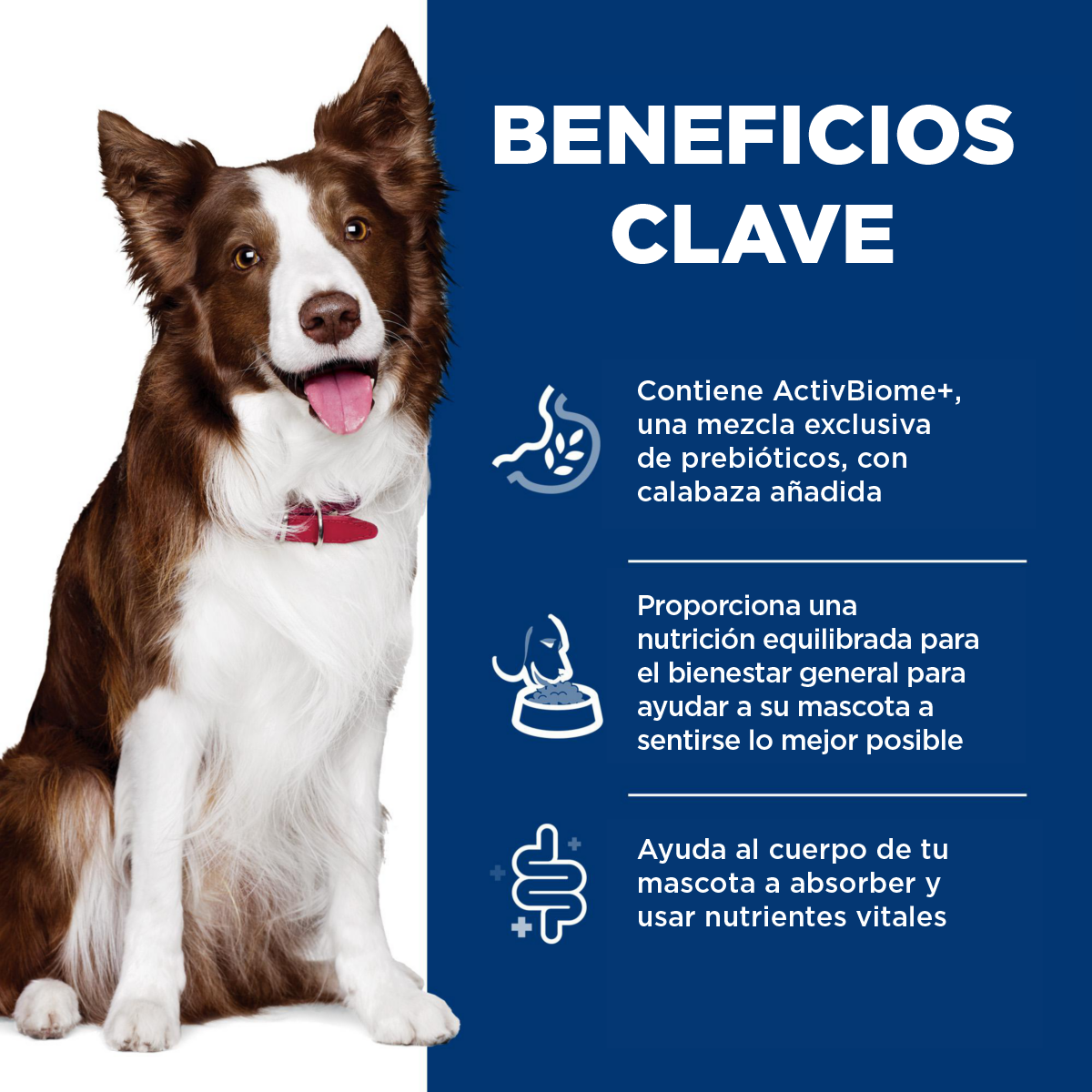 1 Lata Hill's Science Diet Adult Perfect Digestion Sabor Estofado Pollo y Vegetales, Alimento Húmedo para Perros Adultos, Digestión Saludable, 363g