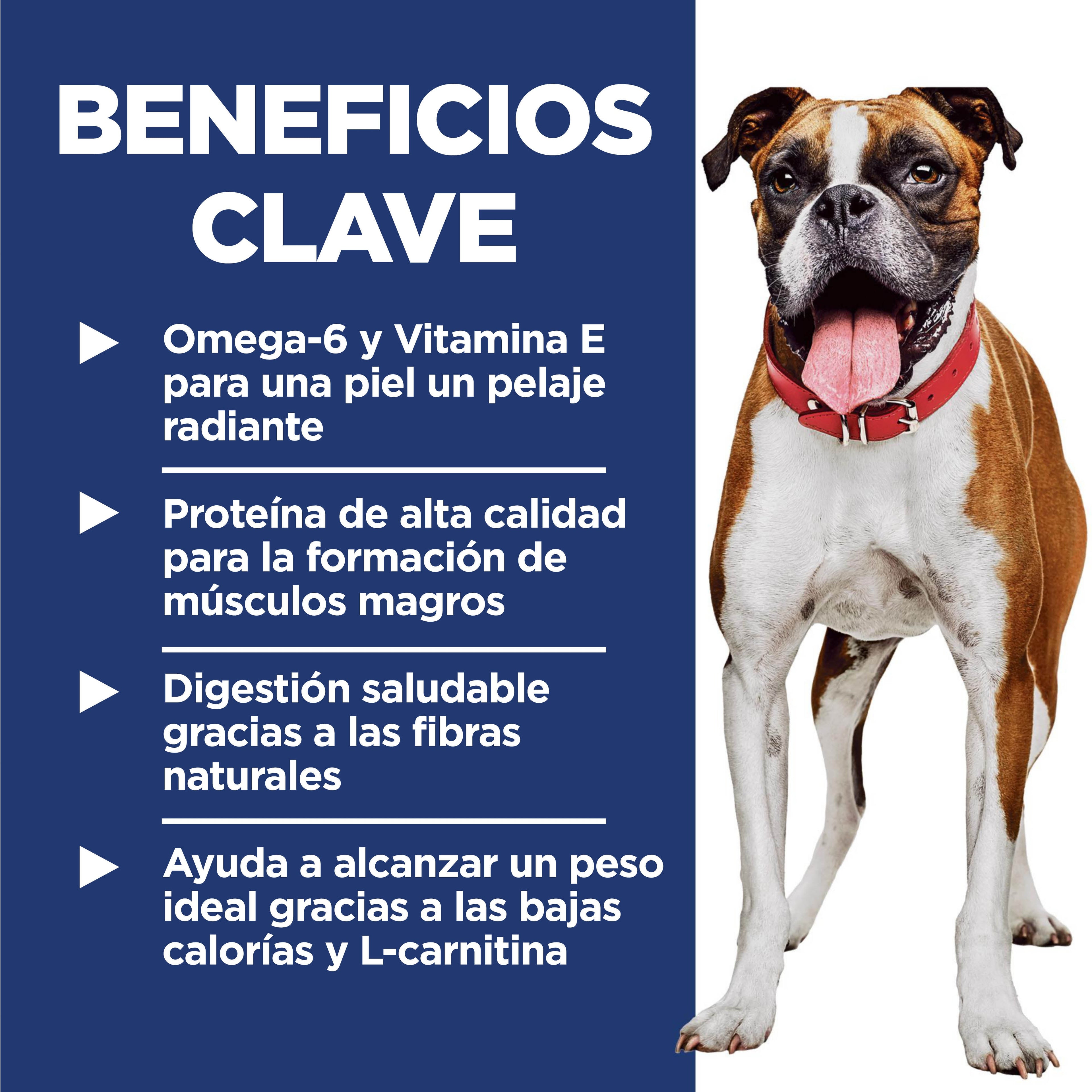 Croquetas para perro bajas en grasa