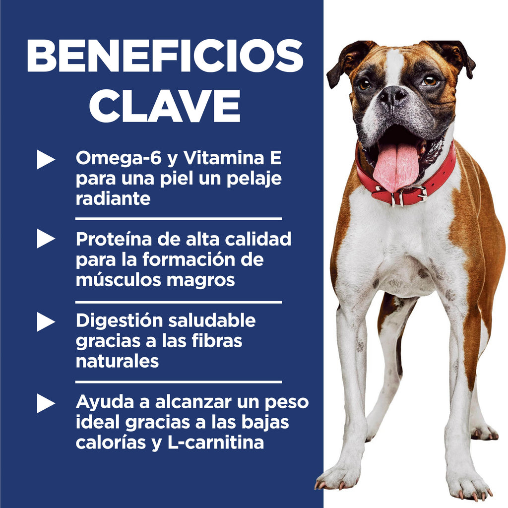 Croquetas para perro bajas en grasa