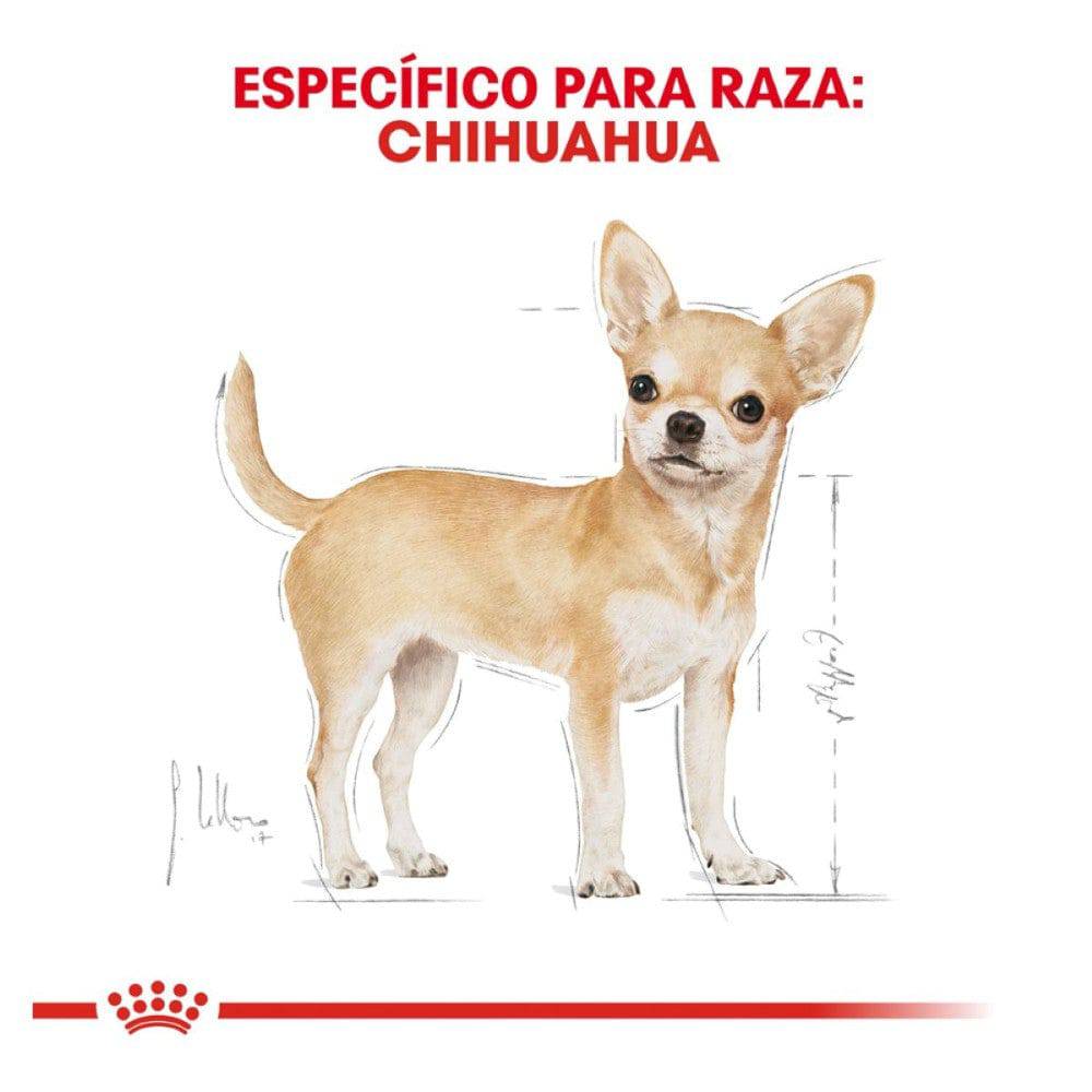 Croquetas para perro chihuahua