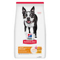 hills light perros