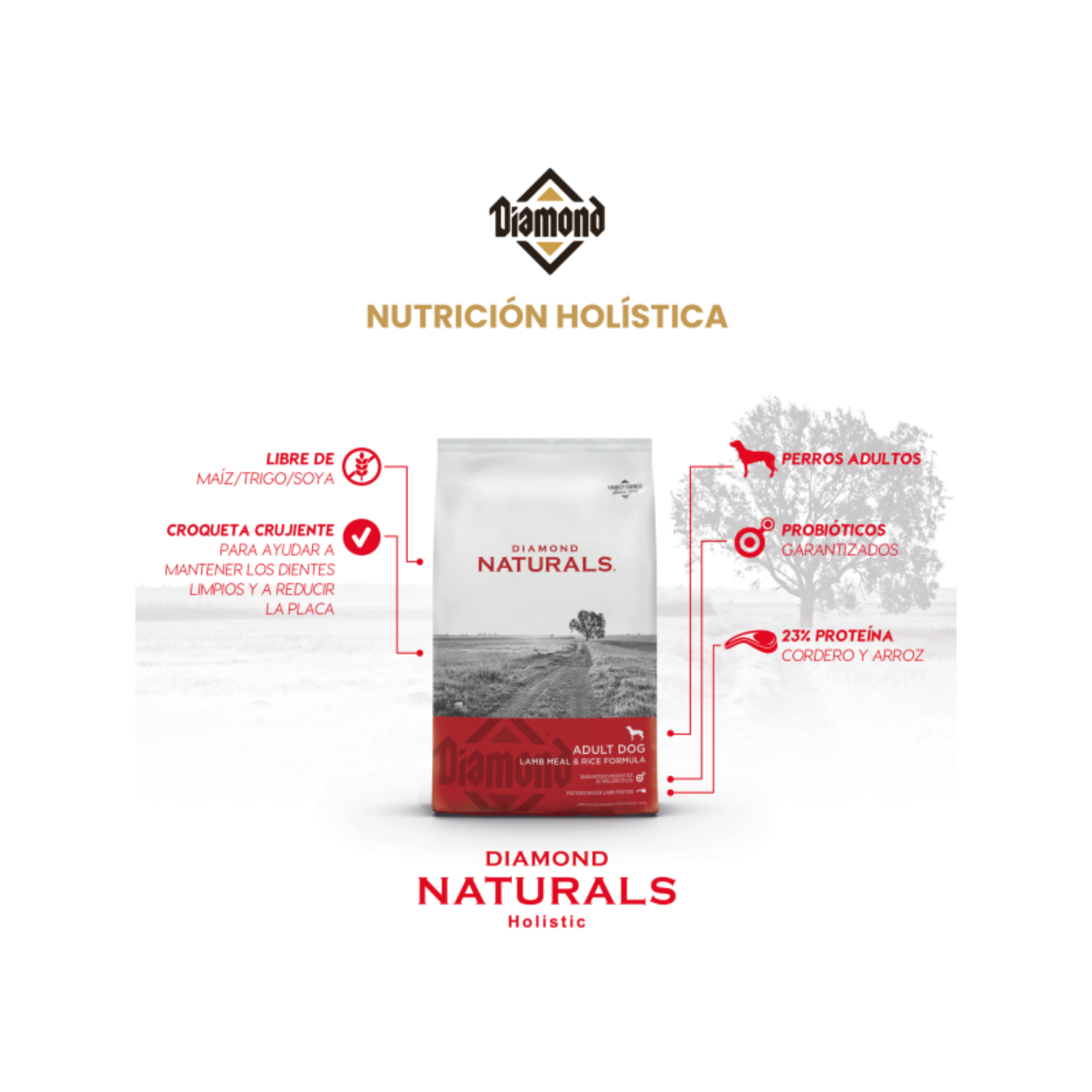 Croquetas Diamond Naturals cordero y arroz para piel sana y pelaje brillante