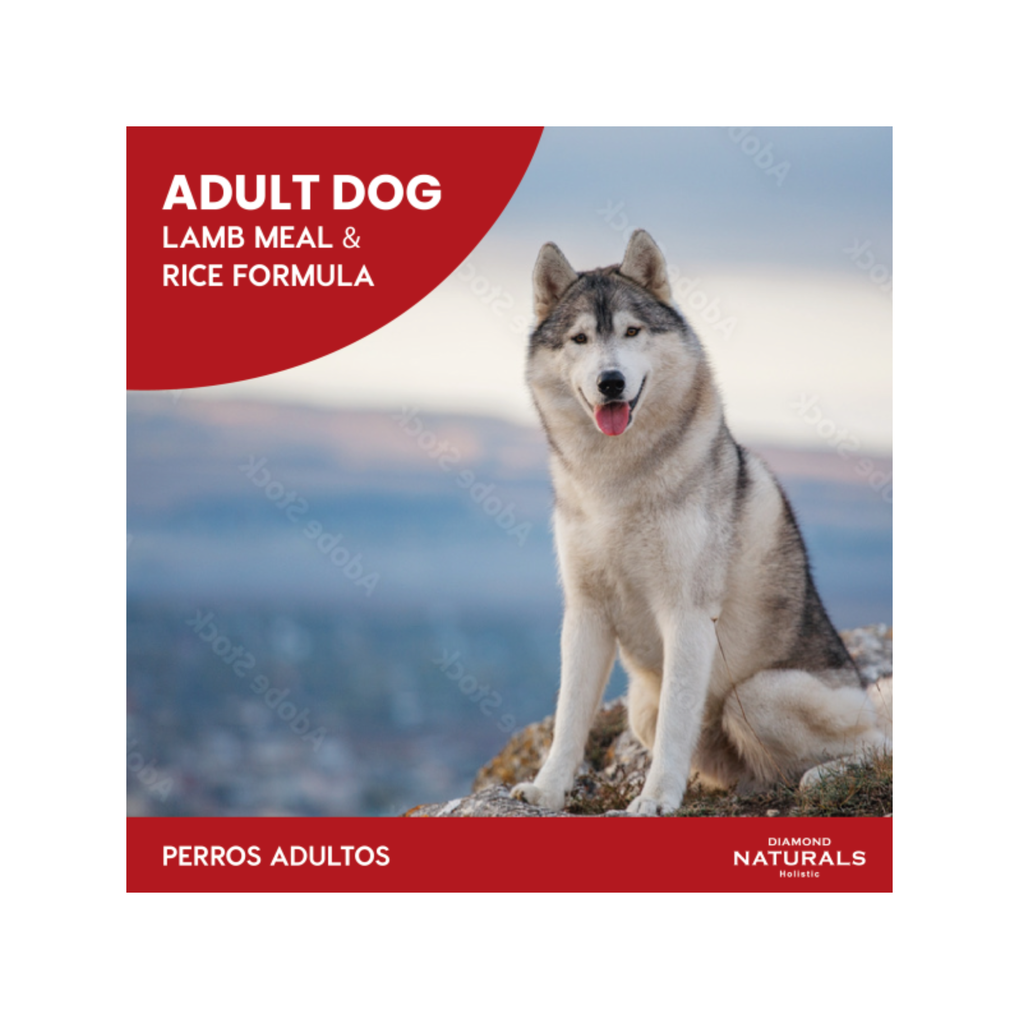 Diamond Naturals alimento premium para perro con proteína de cordero y probióticos