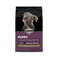 Diamond Puppy