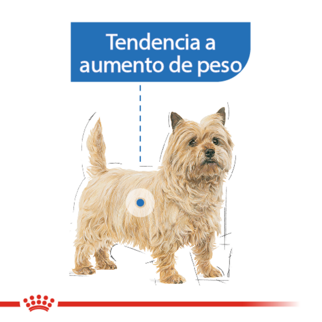 Lata Royal Canin Weight Care Alimento Húmedo para Perro Adulto Control de Peso 150 g