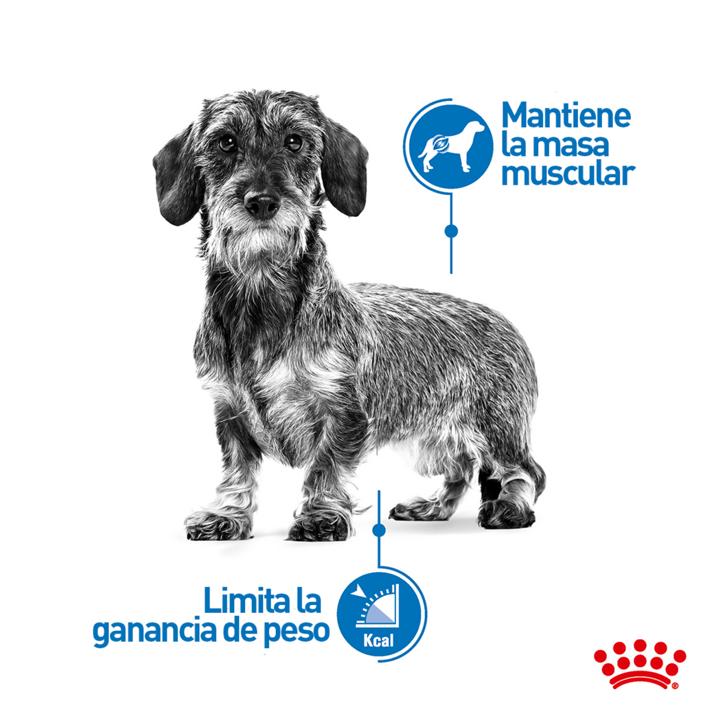 Lata Royal Canin Weight Care Alimento Húmedo para Perro Adulto Control de Peso 150 g