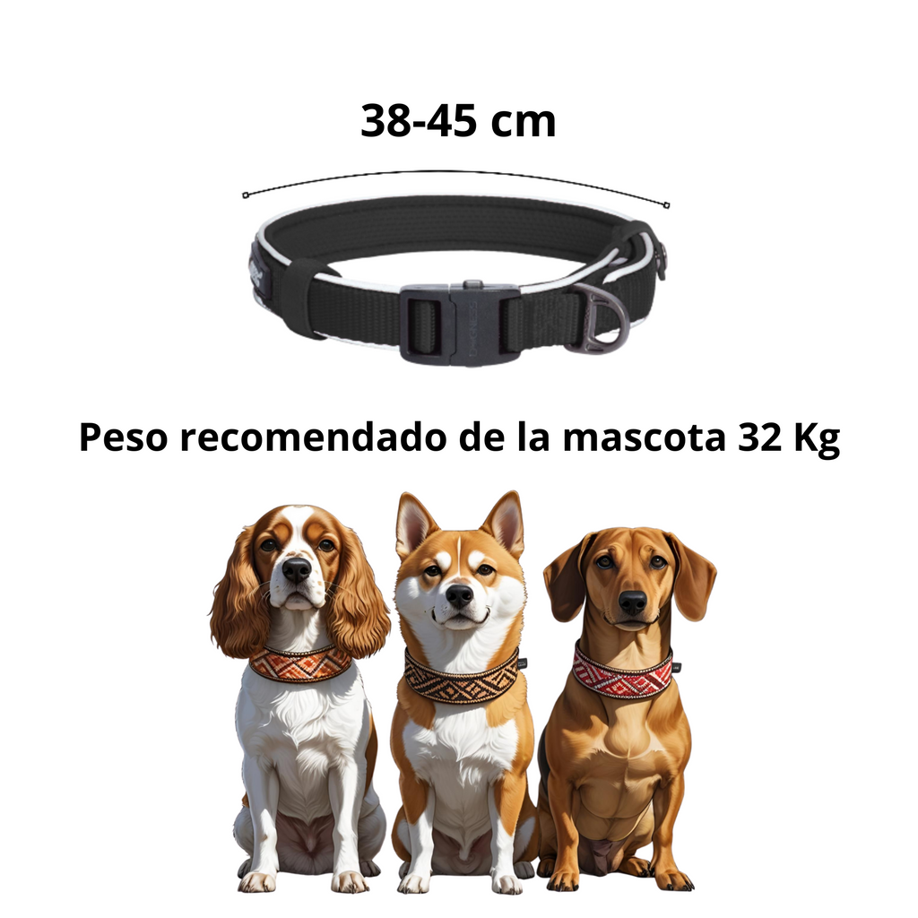 Collar de Perro