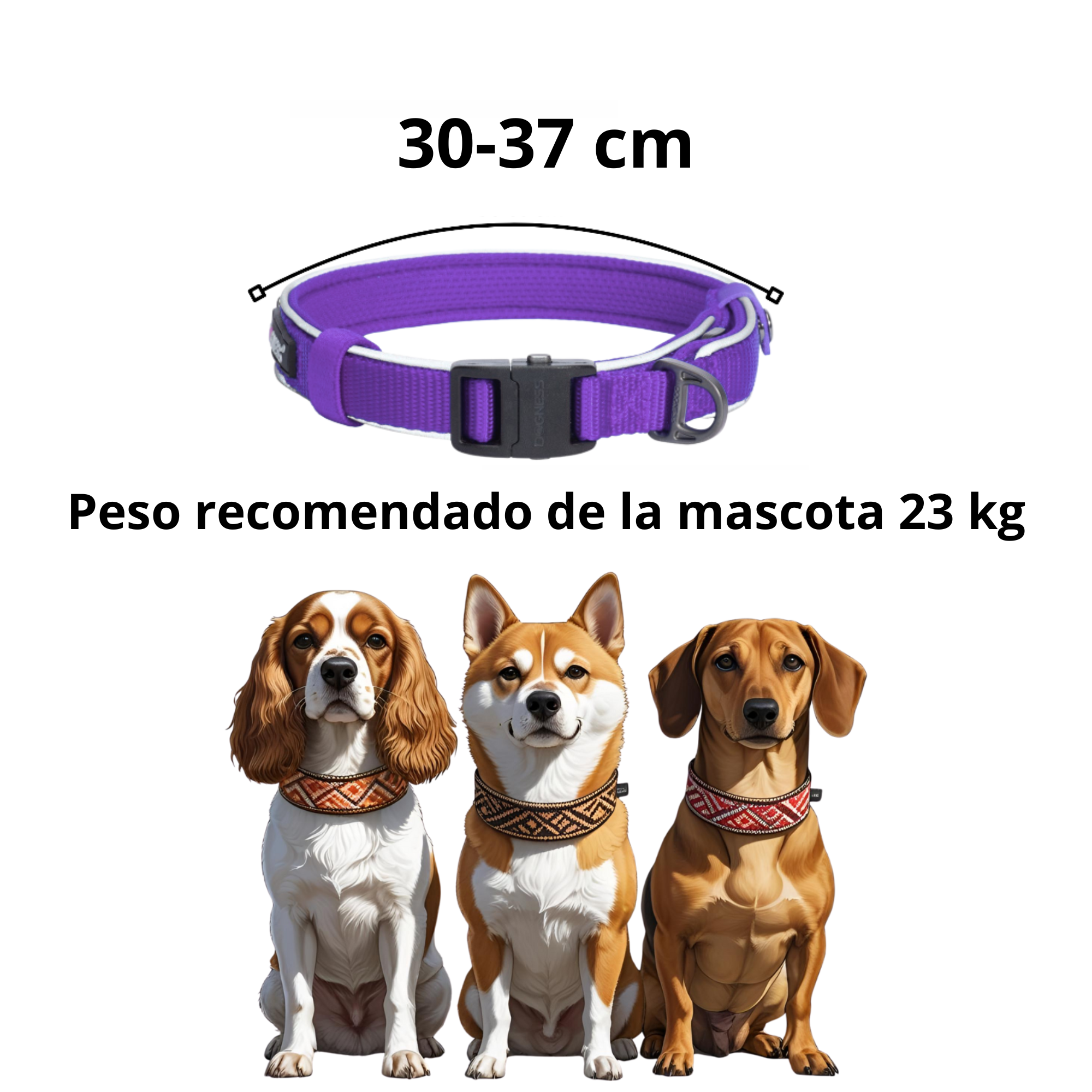 Dogness Collar Reflectivo Color Morado Para Perro Talla S